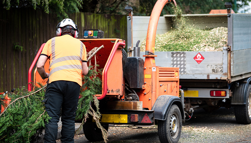 Green Job Reentry Training Program